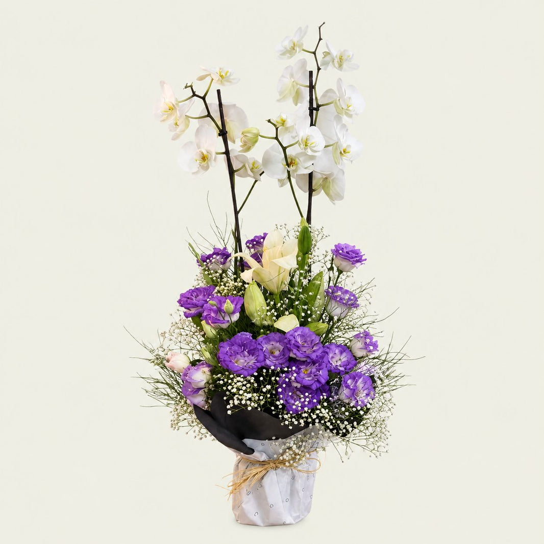 Vefa — Beyaz Orkide & Mor Lisianthus Aranjmanı